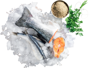 Zalm & Zeevis