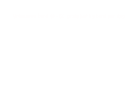Bildbeschreibung